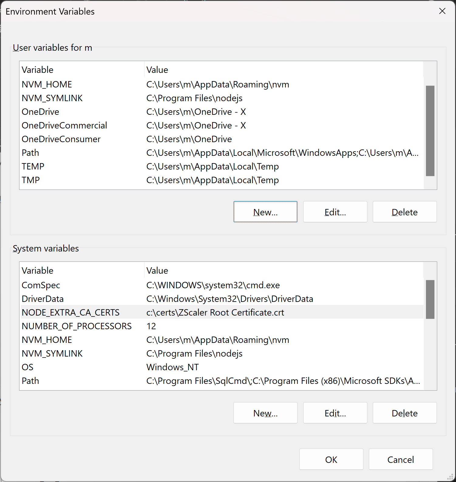 Windows Environment Variables